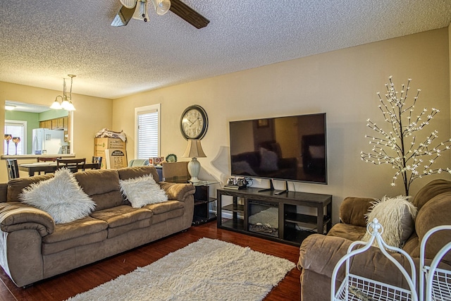 living room featuring a textured ceiling, dark wood-type flooring, and ceiling fan with notable chandelier