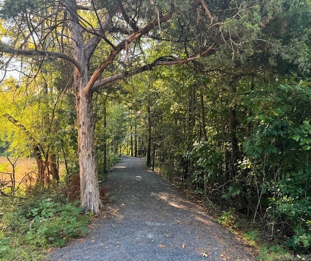 view of street featuring a forest view