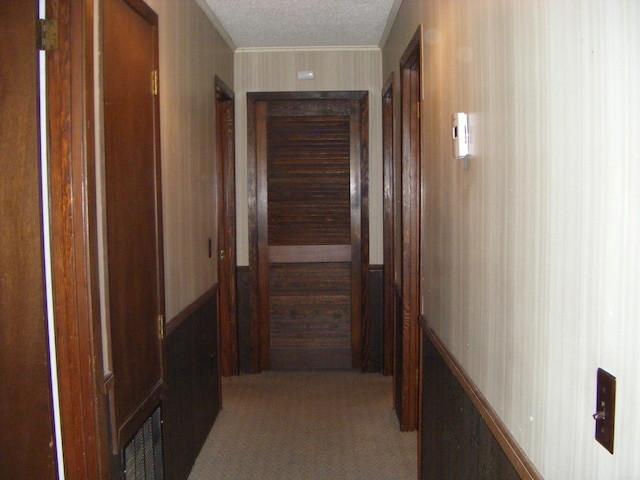 hallway featuring light carpet and a textured ceiling