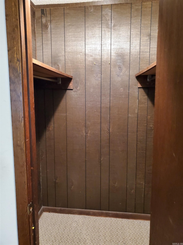 interior details with carpet flooring and wood walls