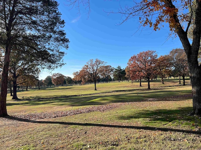 view of community featuring a yard