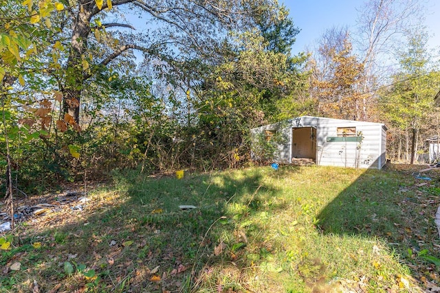 view of yard featuring a storage unit