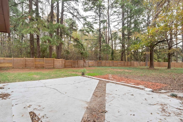 view of yard featuring a patio area