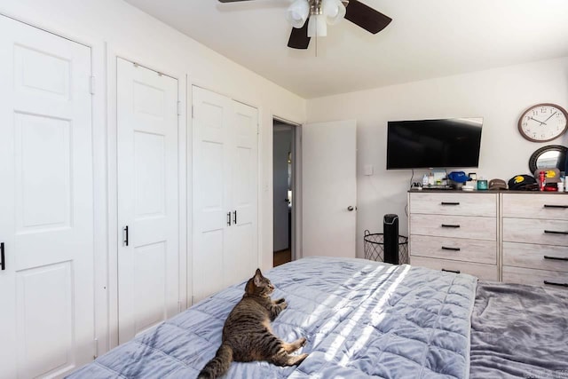 bedroom featuring ceiling fan