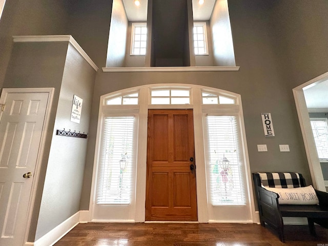 foyer entrance featuring a wealth of natural light and a towering ceiling