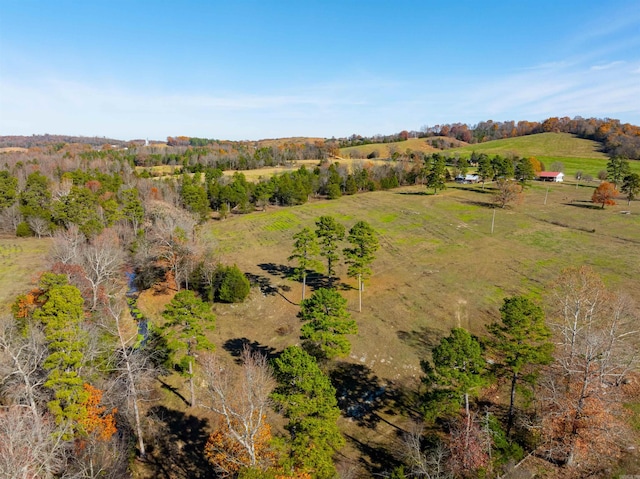 bird's eye view featuring a rural view