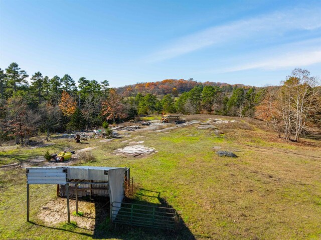 view of yard featuring an outbuilding and a rural view