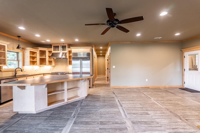 kitchen featuring a center island, ventilation hood, sink, hanging light fixtures, and appliances with stainless steel finishes