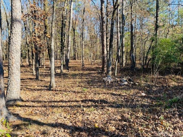 UNK Locust St, Mena AR, 71953 land for sale