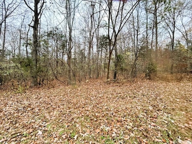 Lick Fork Dr, Mountain View AR, 72560 land for sale