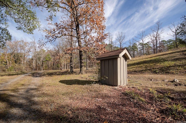 view of yard featuring a shed