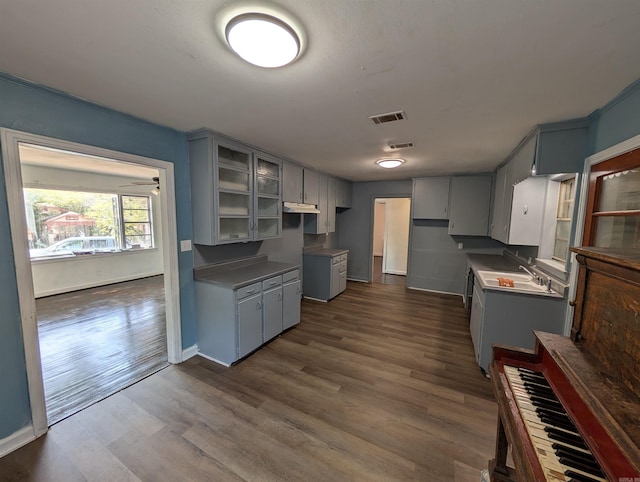 kitchen with sink, dark wood-type flooring, and gray cabinetry