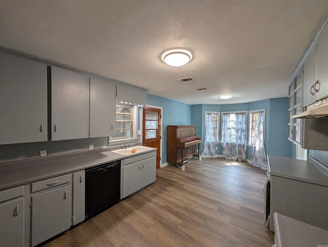 kitchen with sink, dishwasher, a textured ceiling, and light wood-type flooring