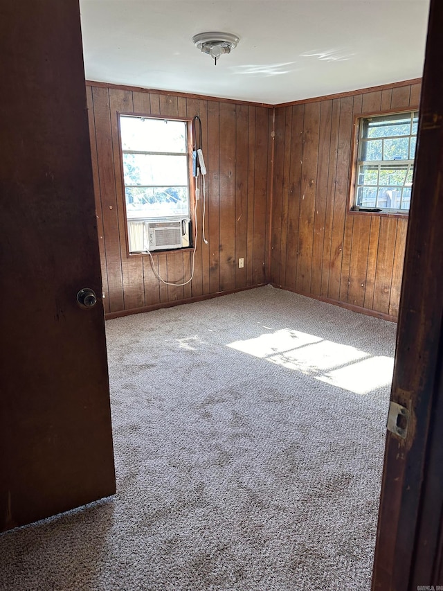 unfurnished room featuring carpet flooring, a healthy amount of sunlight, and wood walls