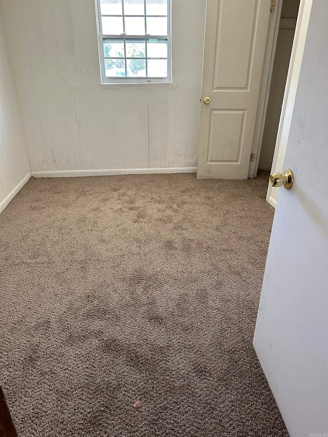 unfurnished room with carpet flooring