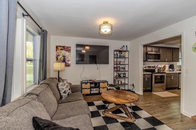 living room with dark hardwood / wood-style flooring and a wealth of natural light