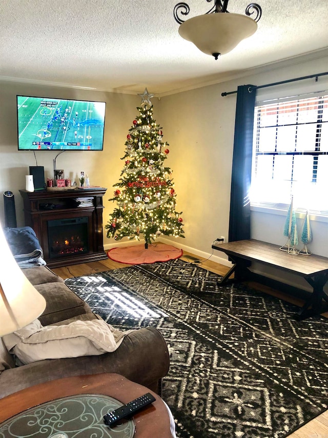 living room with wood-type flooring and a textured ceiling