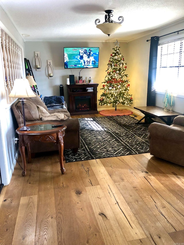 living room featuring wood-type flooring, a textured ceiling, and ornamental molding