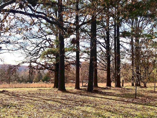 view of local wilderness