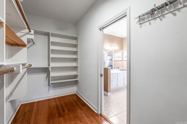 spacious closet with light wood-type flooring