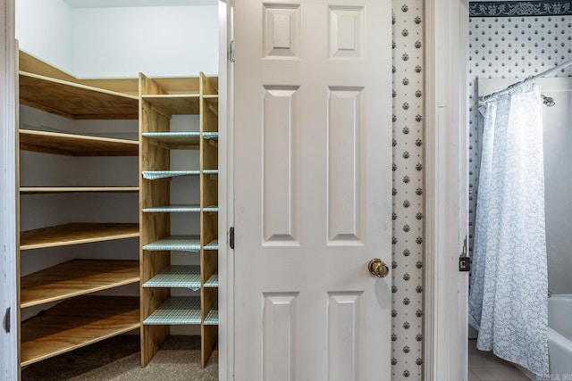 view of spacious closet