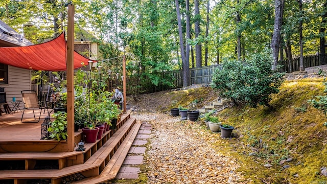 view of yard featuring a wooden deck