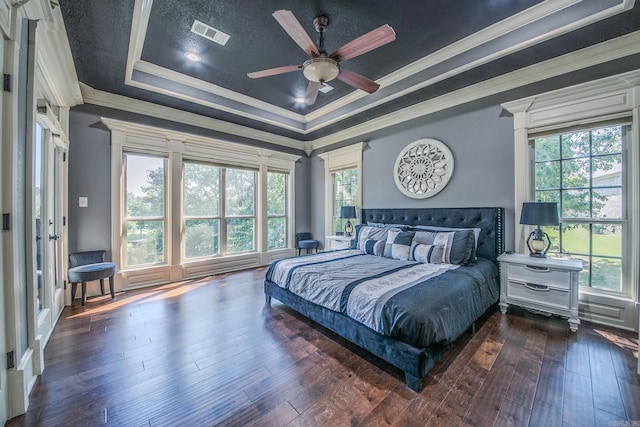 bedroom featuring a raised ceiling, dark wood-type flooring, and multiple windows