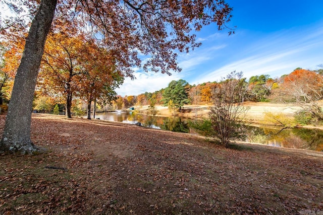 view of yard with a water view