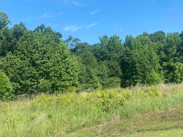 LOT25 Cinel Loop, Austin AR, 72007 land for sale