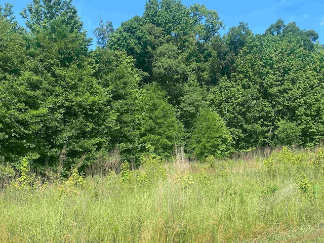 Listing photo 2 for LOT25 Cinel Loop, Austin AR 72007