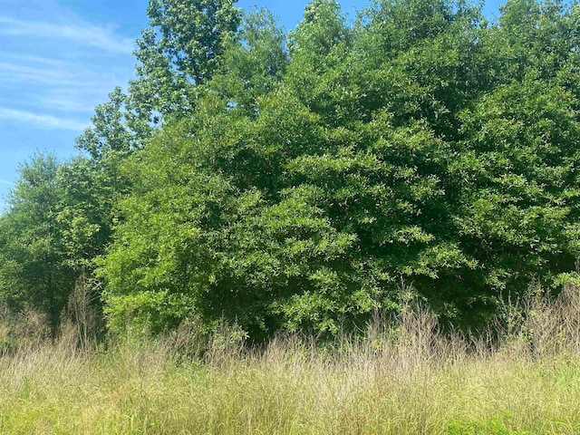 Listing photo 3 for LOT25 Cinel Loop, Austin AR 72007