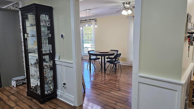 dining space with dark wood-type flooring, ceiling fan, and ornamental molding