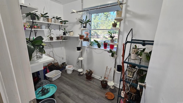 bathroom featuring hardwood / wood-style flooring