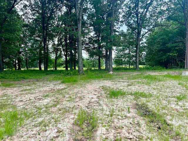 Listing photo 2 for 3.09AC Purcell Rd, Paragould AR 72450