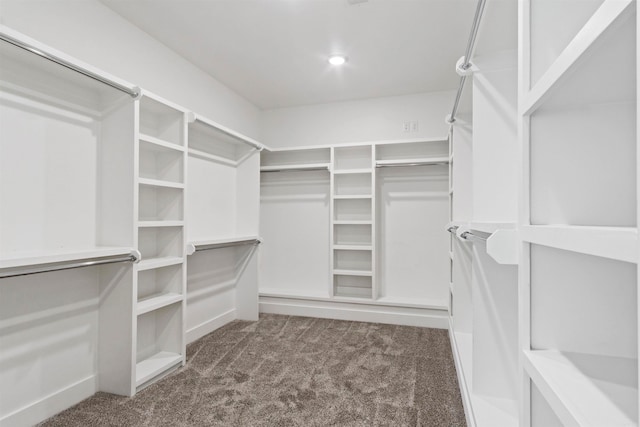 walk in closet with dark colored carpet