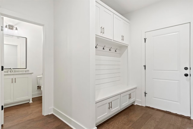 mudroom featuring dark hardwood / wood-style floors and sink