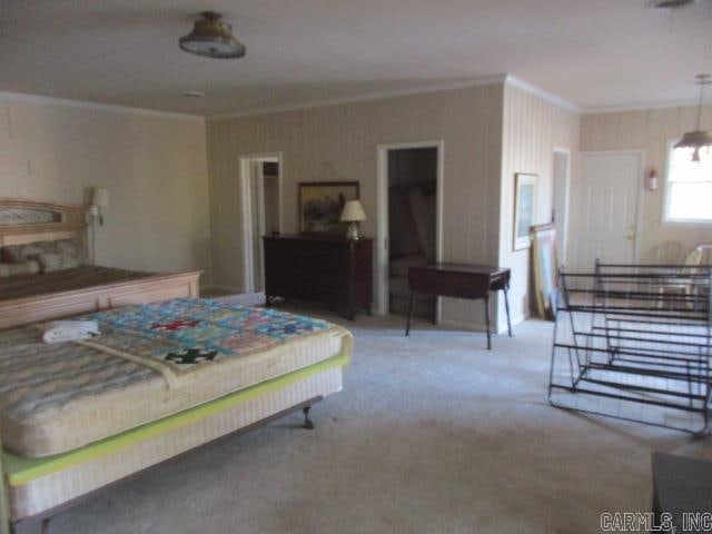 carpeted bedroom with crown molding