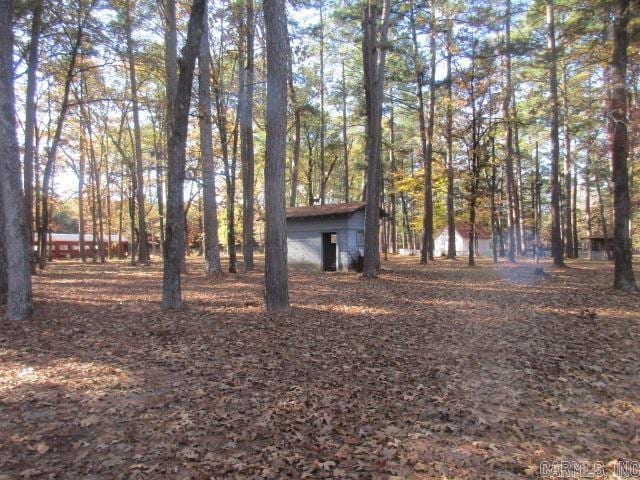 view of yard with a storage unit