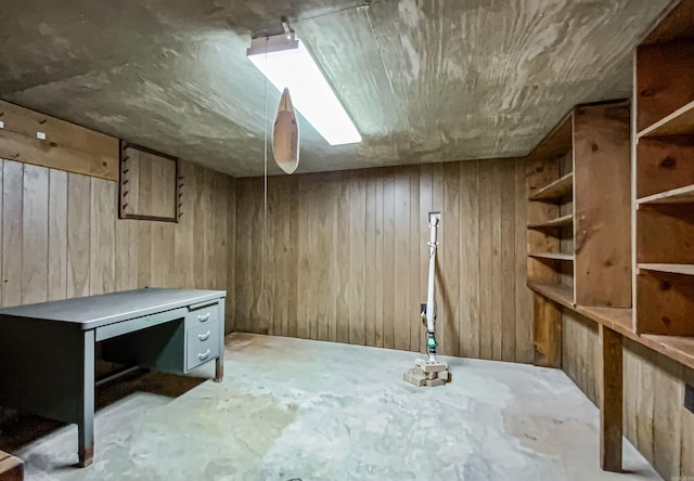 basement with wood walls