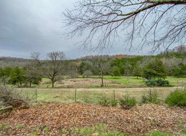 view of yard featuring a rural view