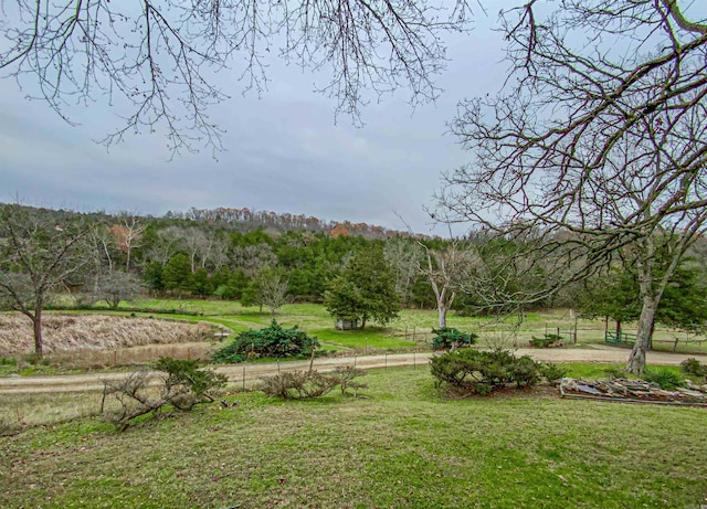 view of yard featuring a rural view