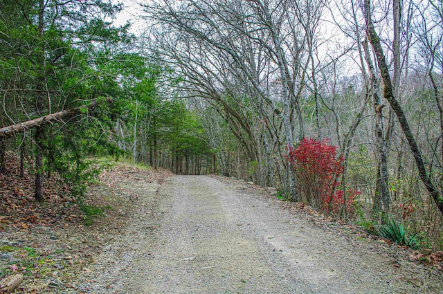 view of road