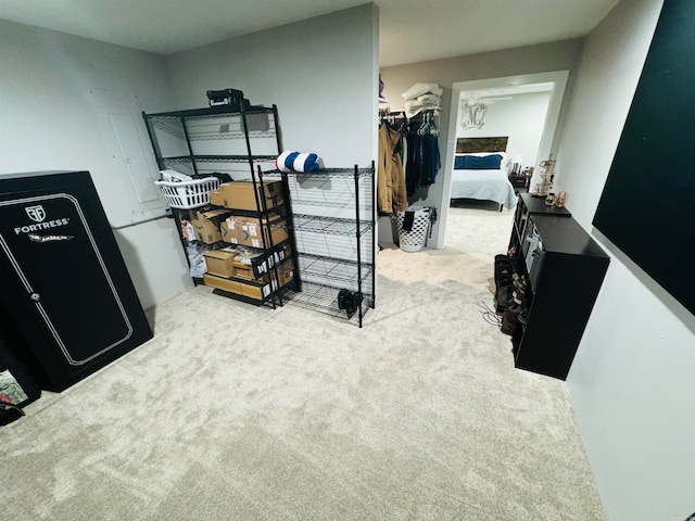 carpeted bedroom featuring a closet