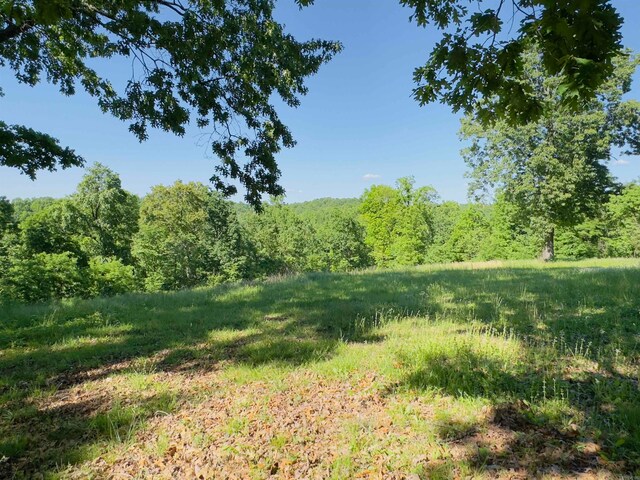 view of local wilderness