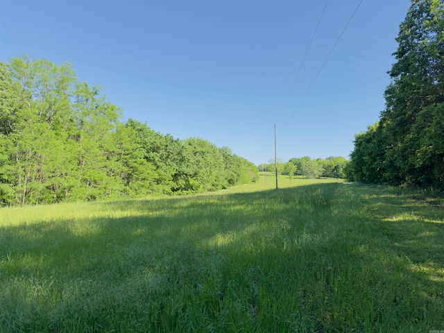 view of local wilderness