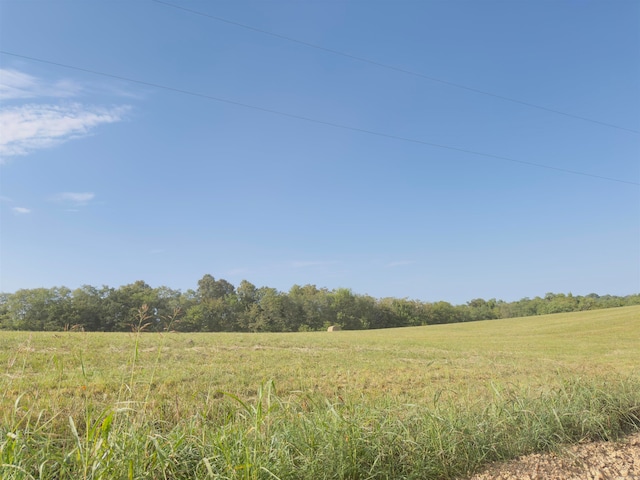 view of local wilderness featuring a rural view