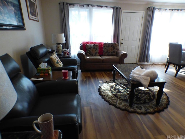 living room featuring dark hardwood / wood-style flooring