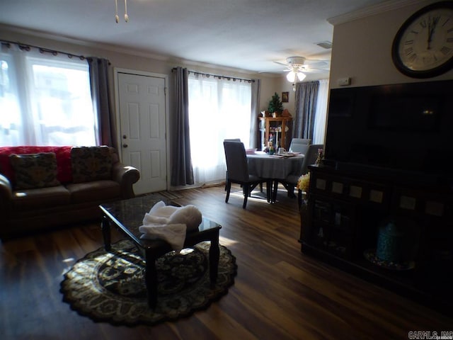 living room featuring ceiling fan, dark wood-type flooring, a healthy amount of sunlight, and ornamental molding