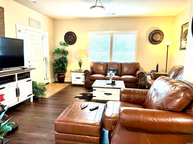 living room with dark hardwood / wood-style floors