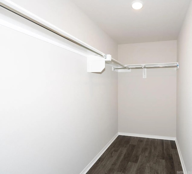 walk in closet featuring dark wood-type flooring